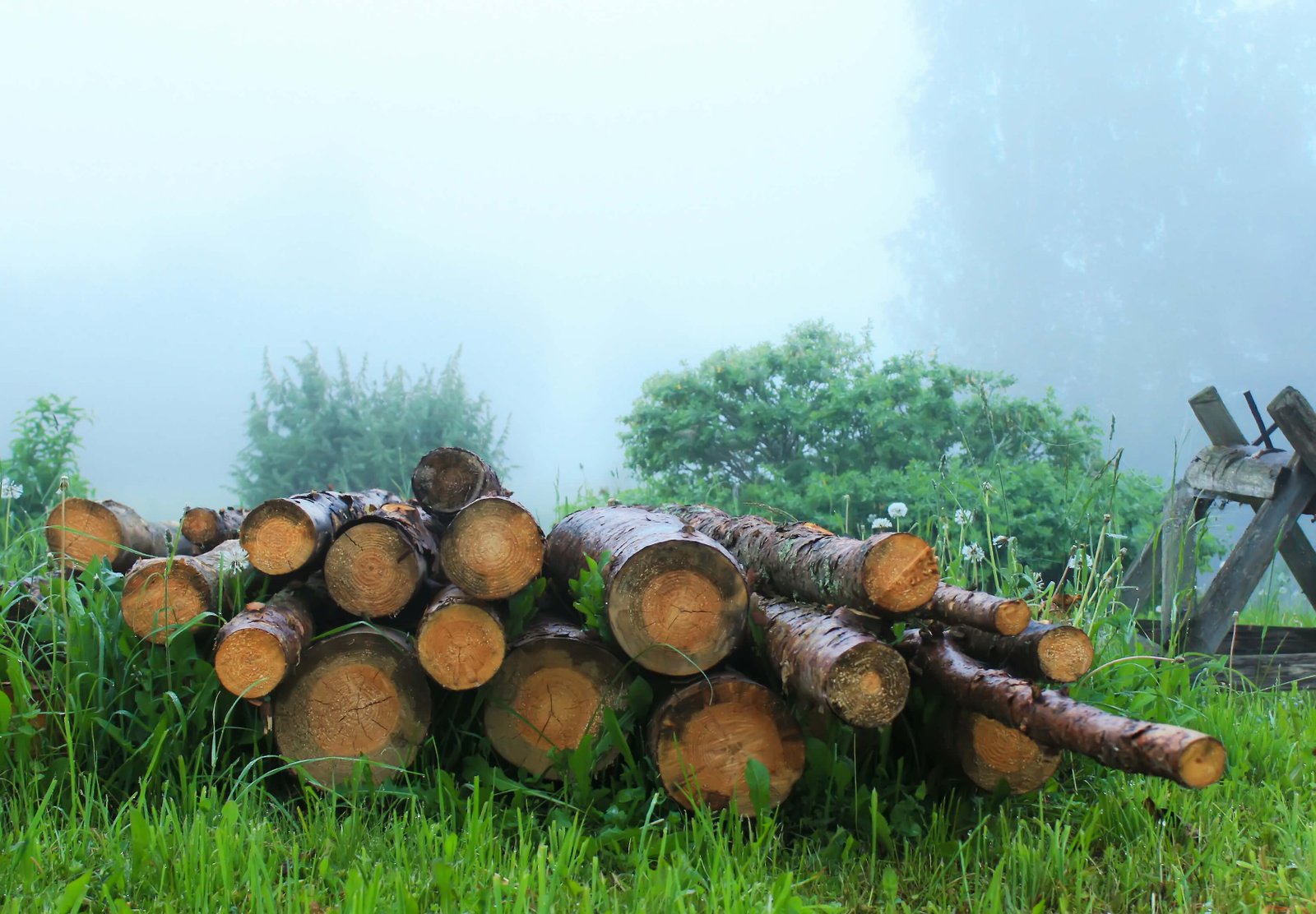 Space Interiors WPC Frames